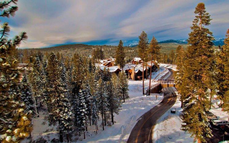 nature, Landscape, Forest, Road, Snow HD Wallpaper Desktop Background