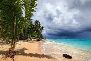 storm, Tropical, Beach, Sea, Sand, Palm Trees, Atolls, Clouds, Nature, Landscape