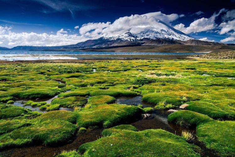 volcano, Lake, Clouds, Chile, Snowy Peak, Grass, Nature, Landscape, Mountain, Green, White, Blue, Moss HD Wallpaper Desktop Background