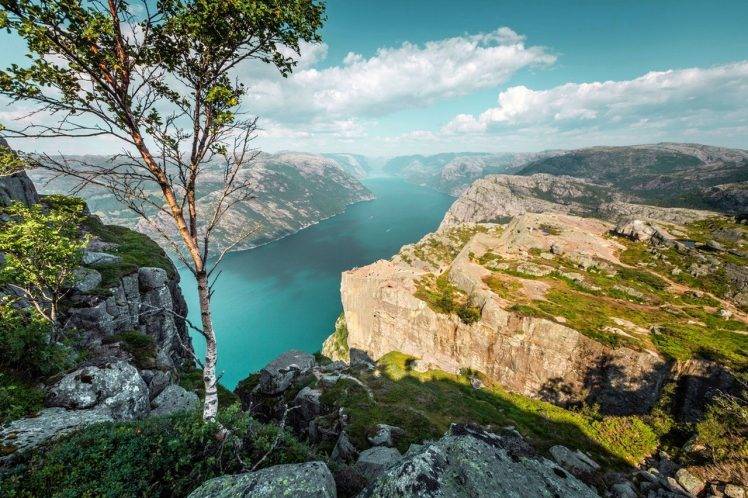 Preikestolen, Norway, Mountain, Trees, Sea, Cliff, Rock, Canyon, Clouds, Summer, Nature, Landscape HD Wallpaper Desktop Background