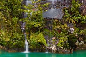 Chile, Patagonia, Waterfall, Ferns, River, Shrubs, Turquoise, Moss, Water, Nature, Landscape