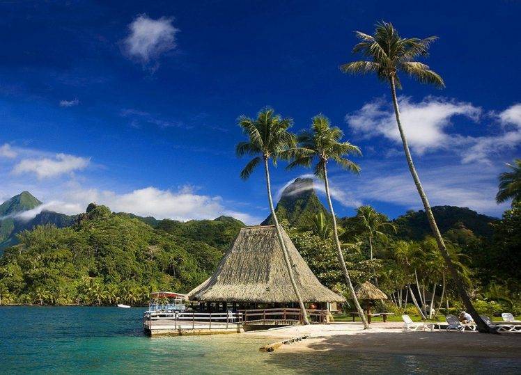 Tahiti, Tropical, Island, Palm Trees, Mountain, Beach, Forest, French Polynesia, Resort, Nature, Landscape HD Wallpaper Desktop Background