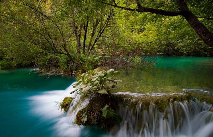 river, Waterfall, Forest, Shrubs, Plitvice National Park, Croatia, Turquoise, Green, Trees, Nature, Landscape HD Wallpaper Desktop Background