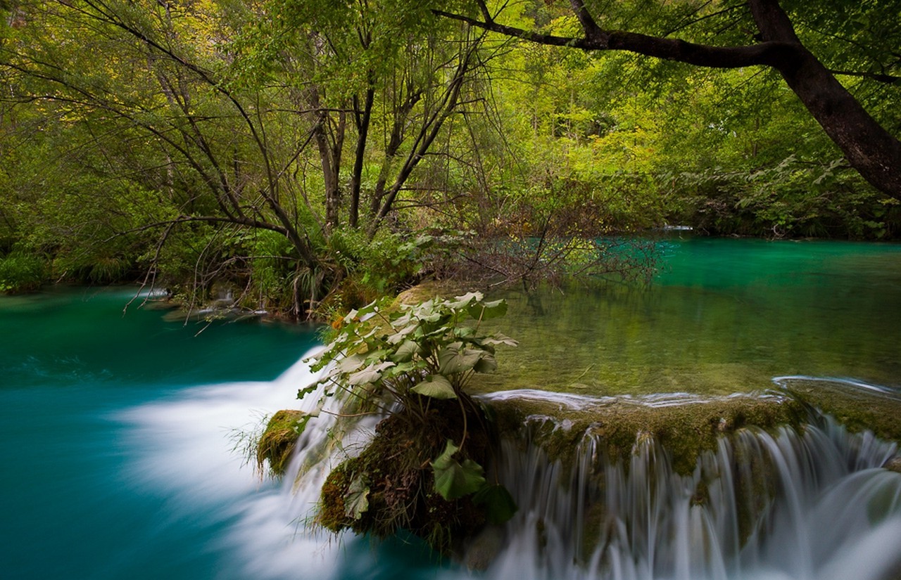 river, Waterfall, Forest, Shrubs, Plitvice National Park, Croatia, Turquoise, Green, Trees, Nature, Landscape Wallpaper