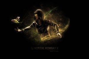 video Games, Mortal Kombat X, Mortal Kombat, Simple Background, DVorah