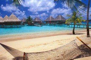 Bora Bora, Tahiti, Resort, Beach, Hammocks, Palm Trees, Sand, Sea, Vacations, Walkway, Bungalow, Nature, Landscape