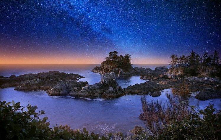 starry Night, Trees, Horizon, Sea, Rock, Coast, Shrubs, Nature, Landscape HD Wallpaper Desktop Background