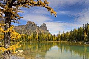 forest, Lake, Mountain, Nature, Landscape, Fall, Trees, Water