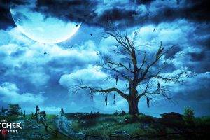 video Games, The Witcher 3: Wild Hunt, The Witcher, Trees, Moon, Clouds