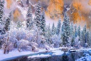 winter, Yosemite National Park, River, Cold, Snow, Forest, White, Trees, Ice, Nature, Landscape