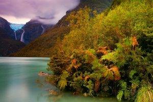 mountain, Chile, Lake, Forest, Ferns, Shrubs, Waterfall, Glaciers, Clouds, Patagonia, Nature, Landscape