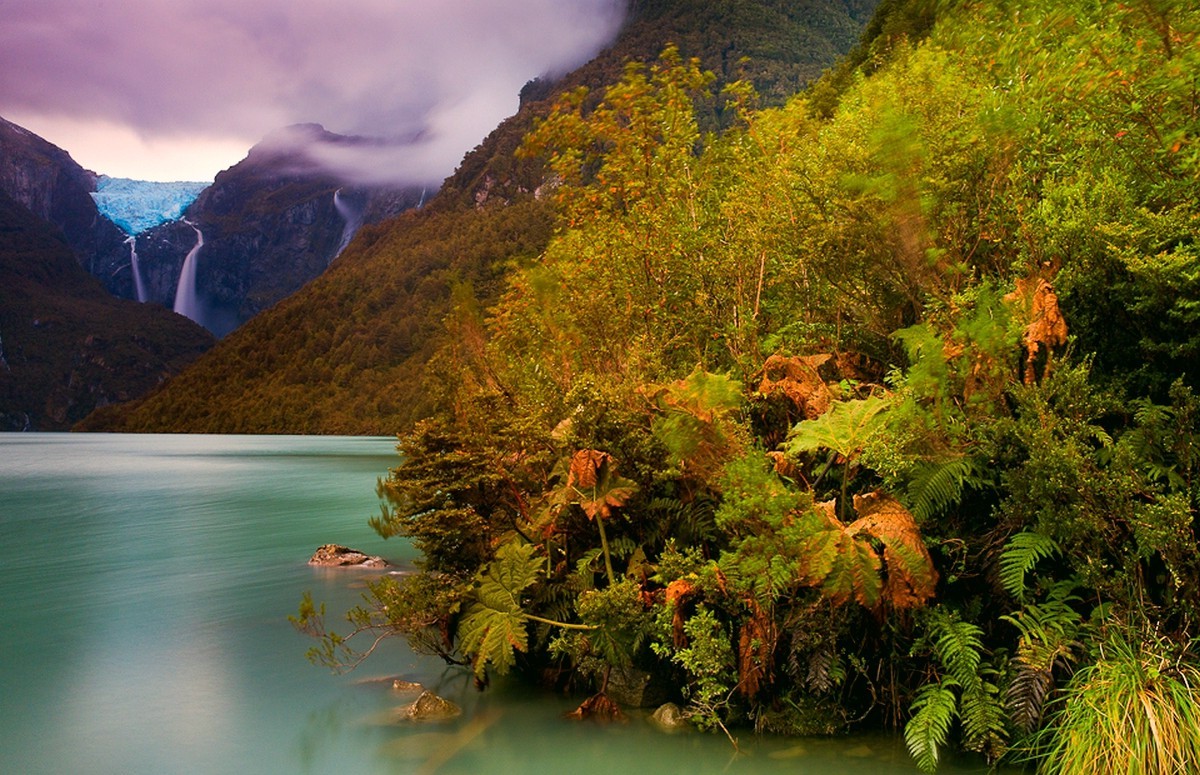 mountain, Chile, Lake, Forest, Ferns, Shrubs, Waterfall, Glaciers
