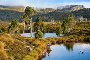 Tasmania, Australia, Lake, Mountain, Grass, Trees, Water, Shrubs, Nature, Landscape