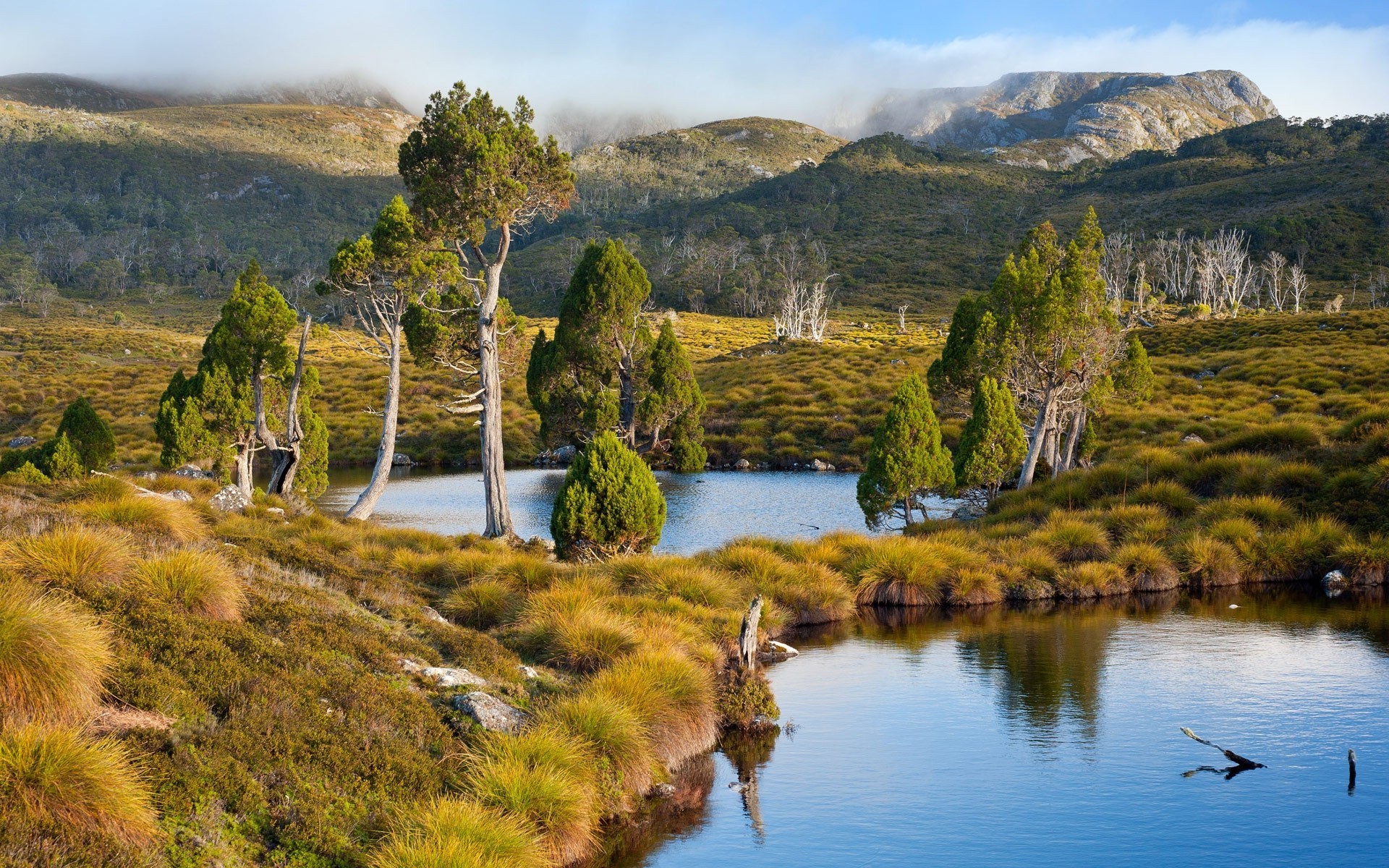 Tasmania, Australia, Lake, Mountain, Grass, Trees, Water, Shrubs