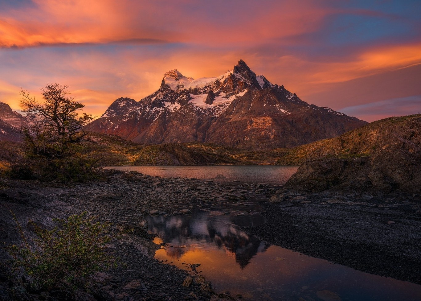 trees, Sunrise, Chile, Mountain, Lake, Torres Del Paine, Patagonia, Snowy Peak, Clouds, Morning, Shrubs, Nature, Landscape Wallpaper