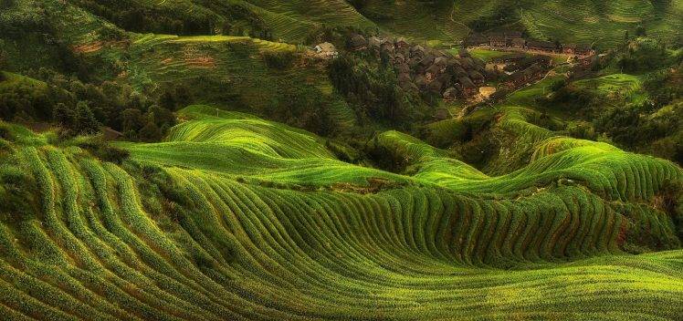 field, Rice Paddy, Terraces, Villages, Hill, Green, Trees, Landscape, Nature HD Wallpaper Desktop Background