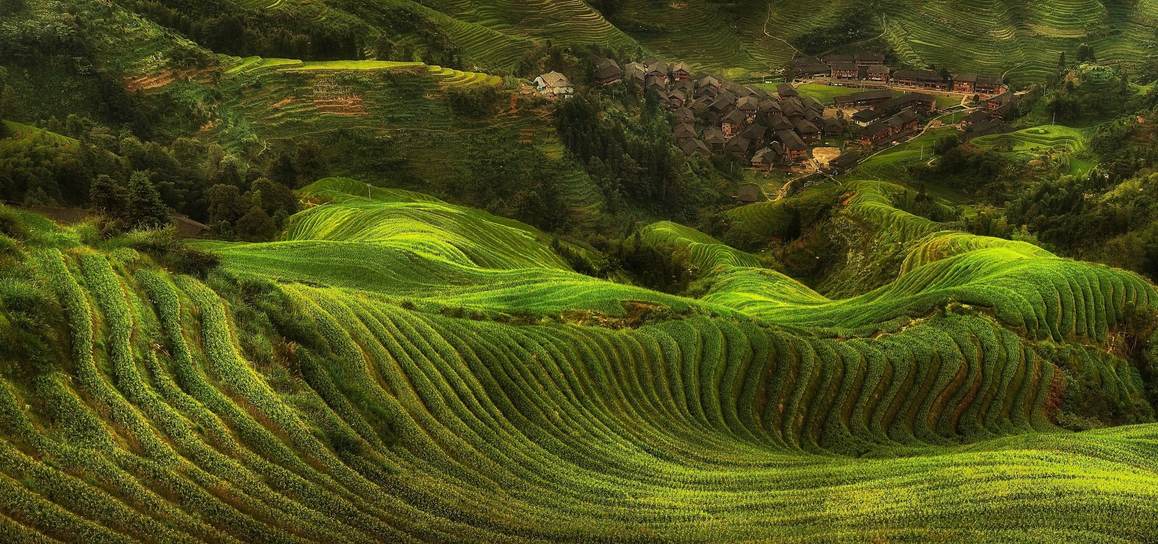field, Rice Paddy, Terraces, Villages, Hill, Green, Trees, Landscape, Nature Wallpaper
