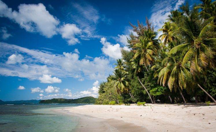 beach, Palm Trees, Sea, Clouds, Sand, Tropical, Summer, Vacations, Nature, Landscape HD Wallpaper Desktop Background