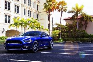 car, Ford Mustang, Blue Cars, Palm Trees