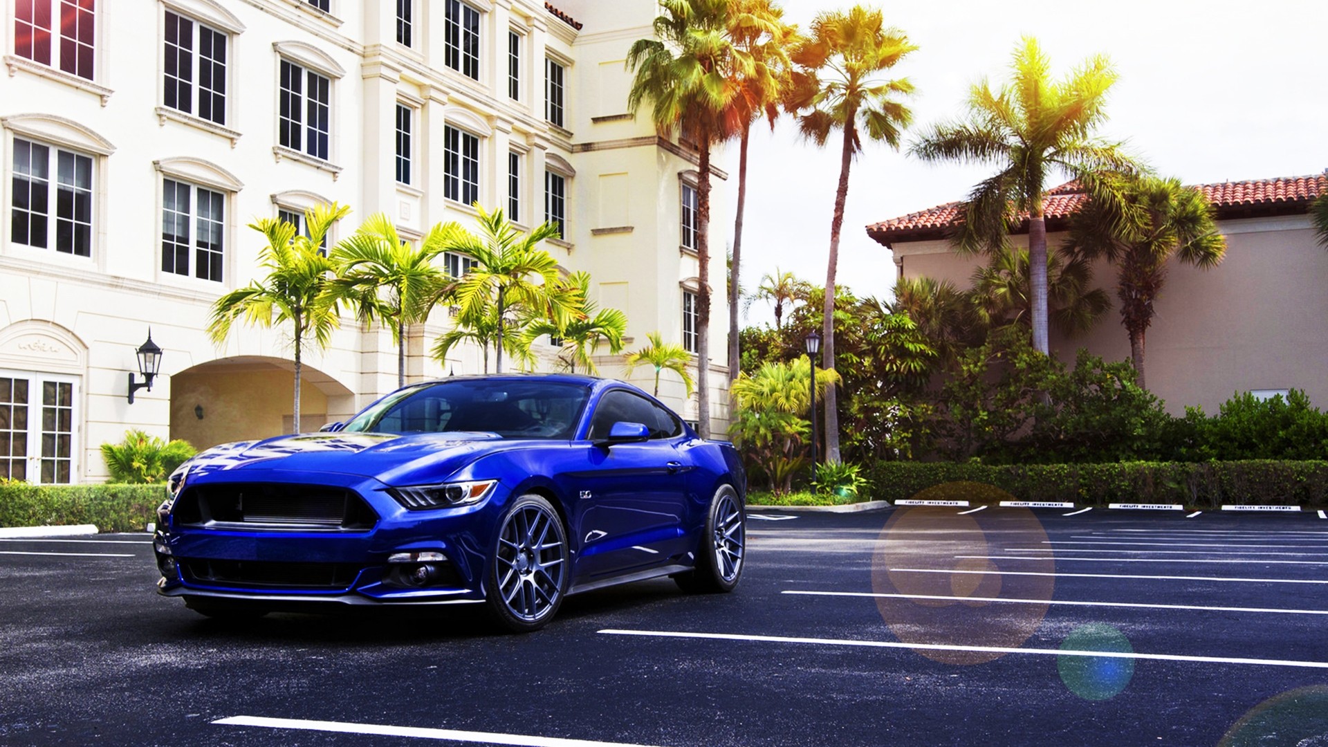 car, Ford Mustang, Blue Cars, Palm Trees Wallpaper