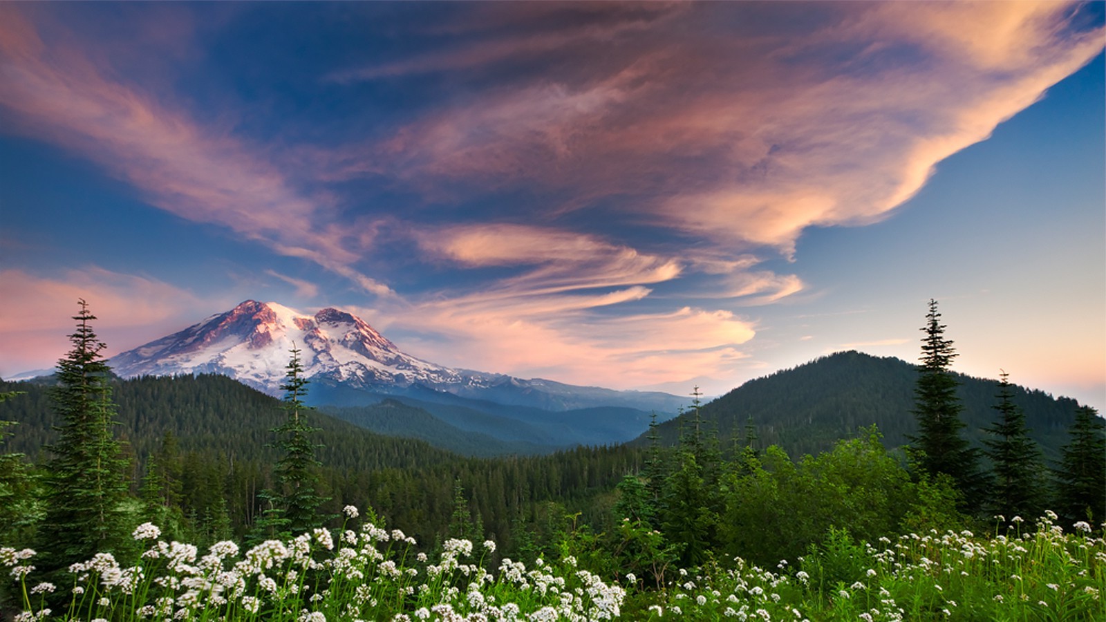 wildflowers, Forest, Mountain, Sunset, Clouds, Snowy Peak, Nature, Landscape Wallpaper