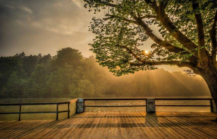 sunrise, Mist, Trees, Hill, River, Terraces, Nature, Landscape HD Wallpaper Desktop Background