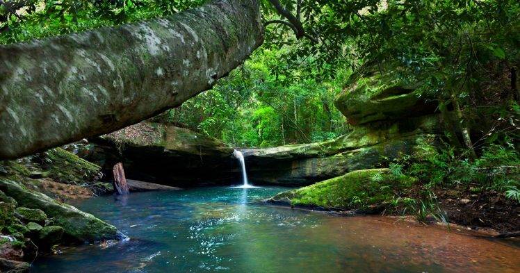 river, Forest, Moss, Waterfall, Australia, Shrubs, Nature, Landscape HD Wallpaper Desktop Background