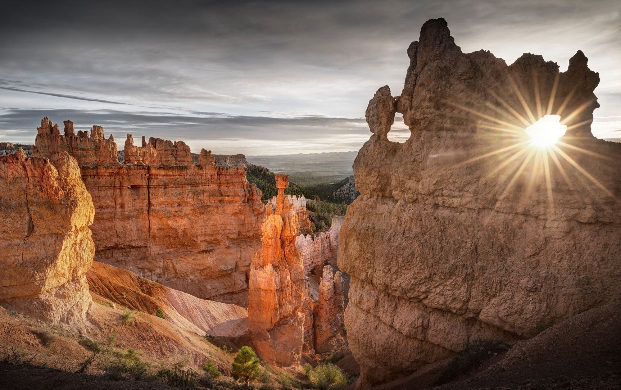 Bryce Canyon National Park, Utah, Erosion, Sunset, Sun Rays, Rock, Cliff, Trees, Nature, Landscape Wallpaper