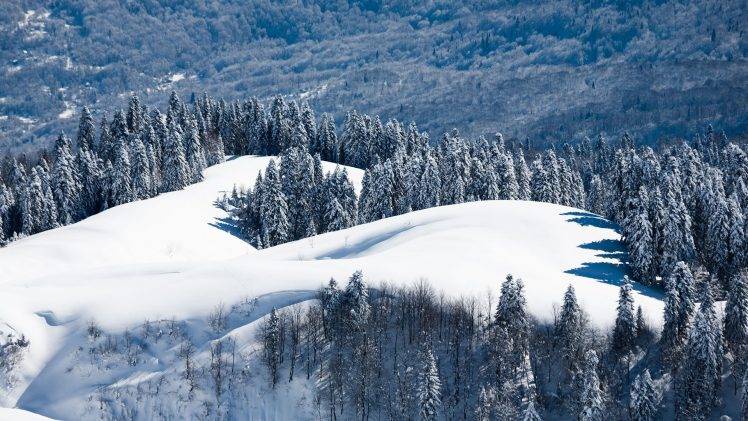landscape, Nature, Pine Trees, Trees, Snow, Winter HD Wallpaper Desktop Background