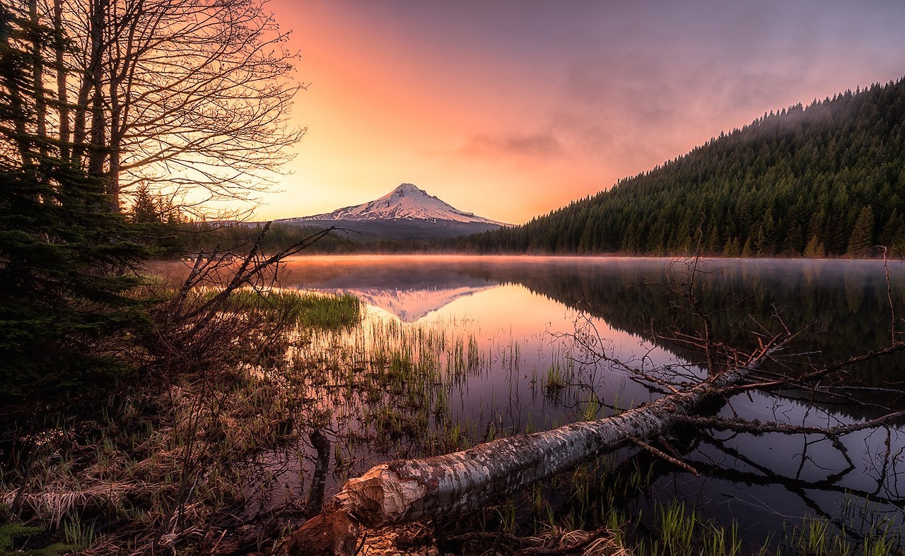 Oregon, Lake, Mountain, Forest, Sunrise, Snowy Peak, Reflection, Mist, Water, Nature, Landscape Wallpaper