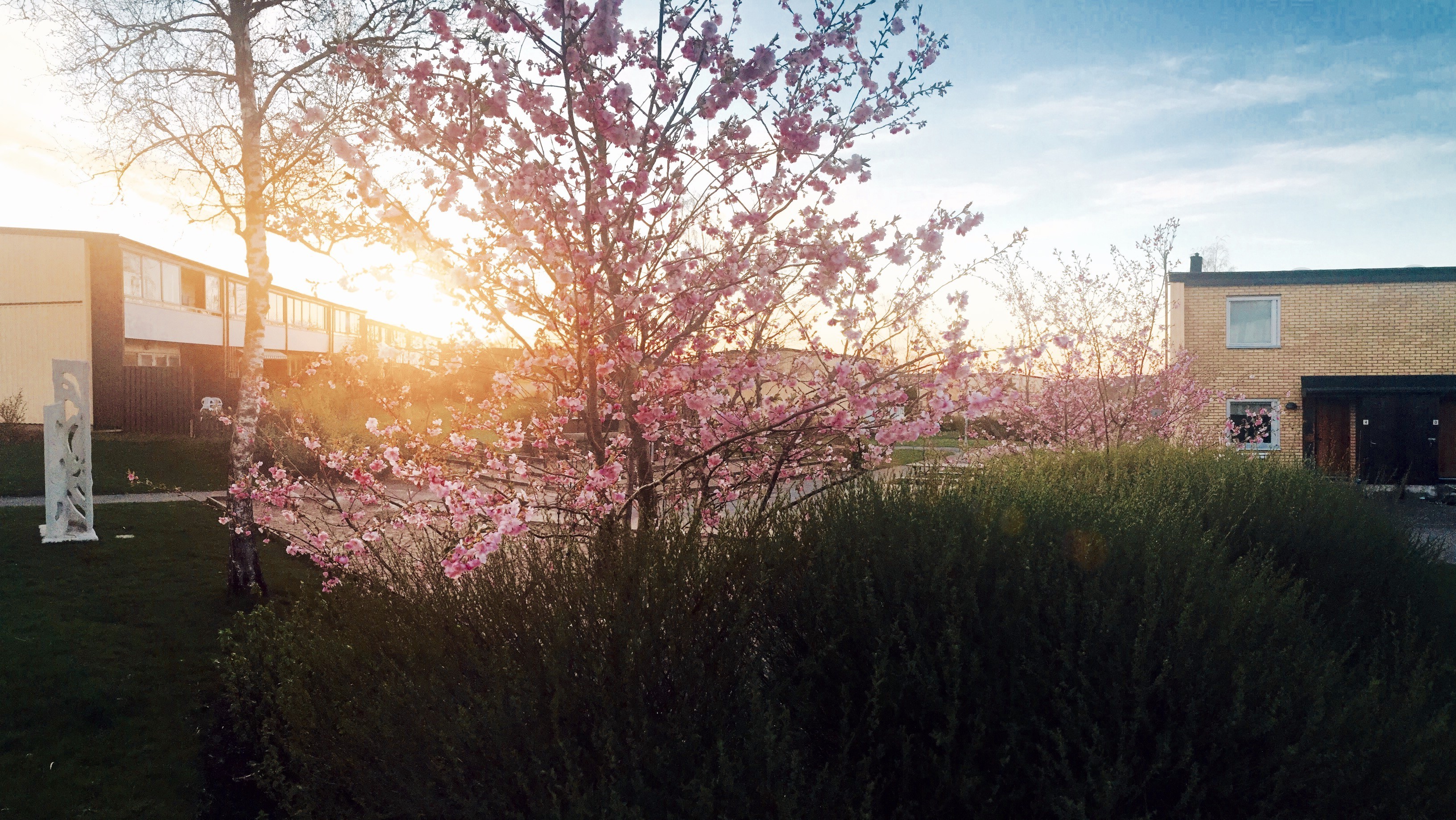 nature, Landscape Wallpaper