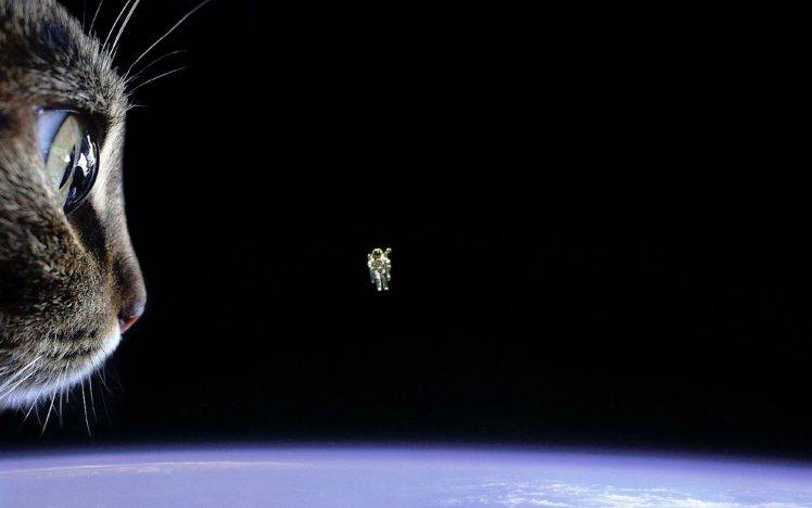 cat, Astronaut, Earth, Space, Floating HD Wallpaper Desktop Background