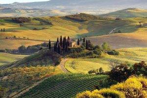 nature, Landscape, Italy, Field, Hill, Tuscany