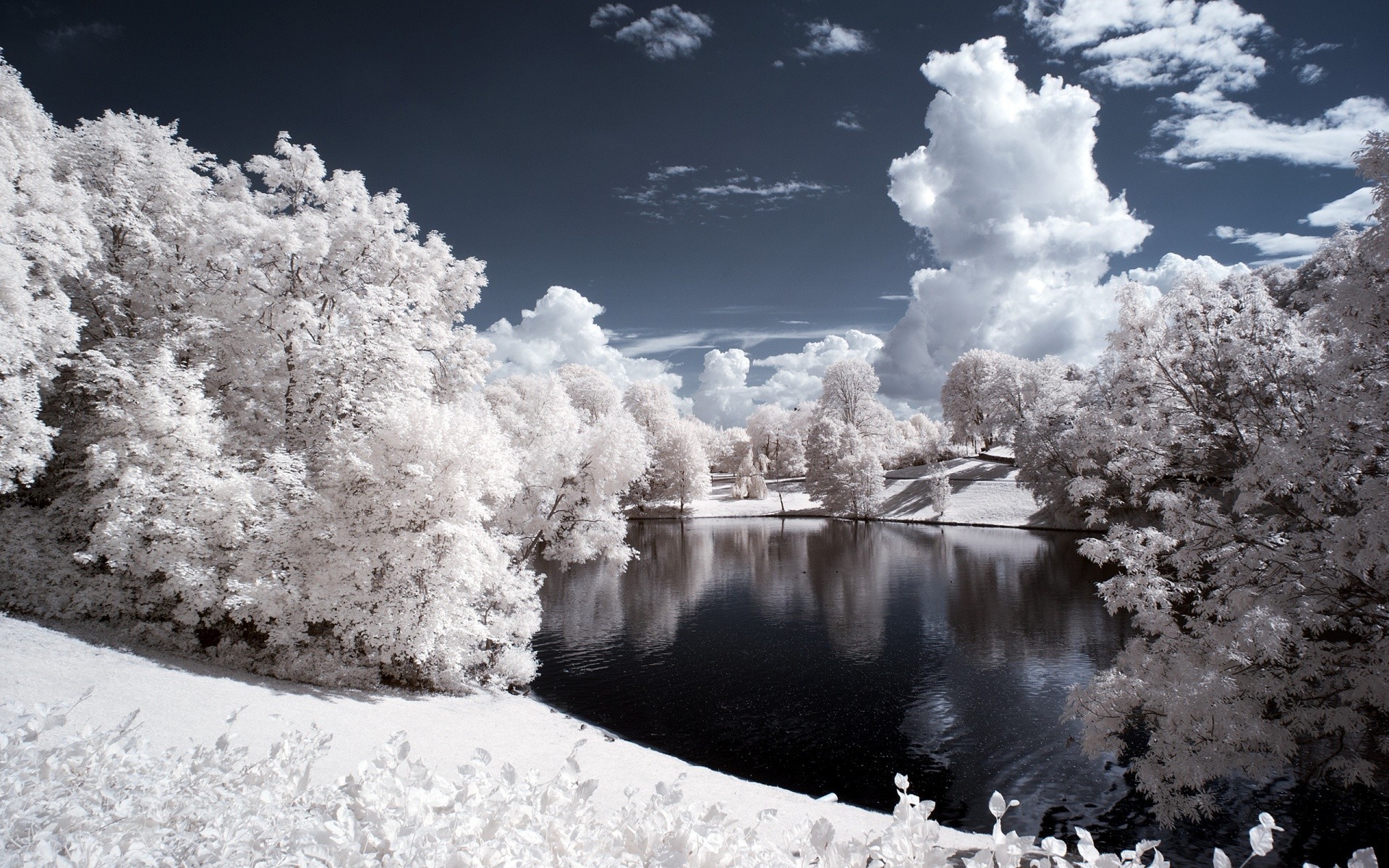 nature, Landscape, Winter, Lake, Trees, Snow Wallpaper
