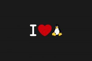 Linux, GNU, Love