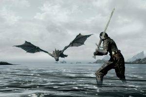 The Elder Scrolls V: Skyrim, Dragon, Video Games