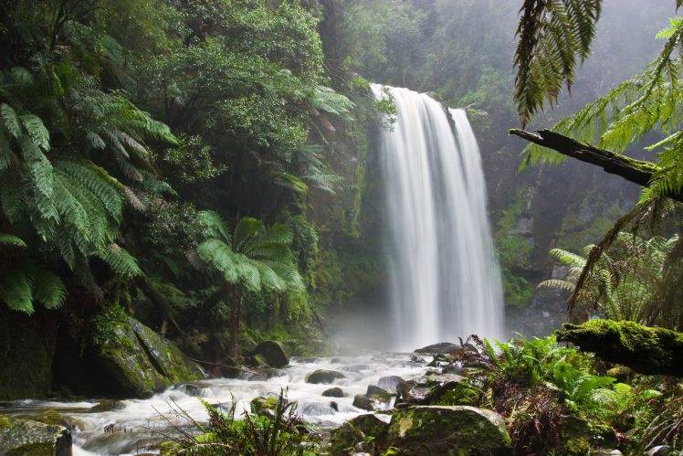 nature, Landscape, Waterfall, Forest