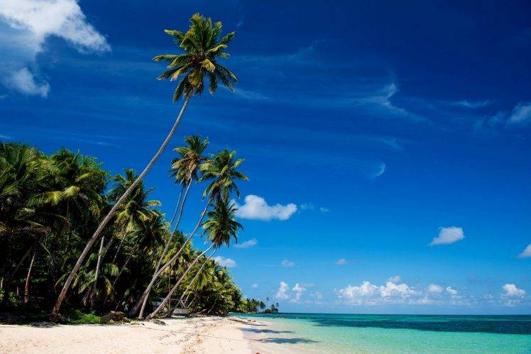 nature, Landscape, Sea, Beach, Palm Trees HD Wallpaper Desktop Background