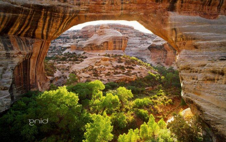 nature, Landscape, Desert HD Wallpaper Desktop Background