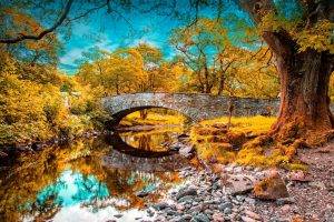 nature, Landscape, Bridge, Trees, River