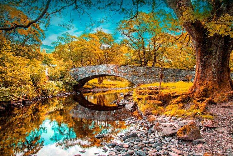 nature, Landscape, Bridge, Trees, River HD Wallpaper Desktop Background