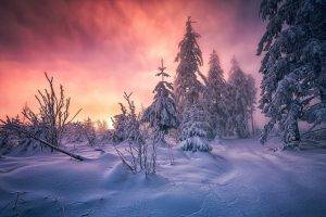 forest, Winter, Sunrise, Germany, Snow, Trees, Cold, Clouds, Path, White, Yellow, Pink, Nature, Landscape