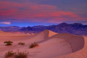 nature, Landscape, Sand, Desert, Death Valley, California, USA, Clouds, Mountain, Sunset, Dune, Plants
