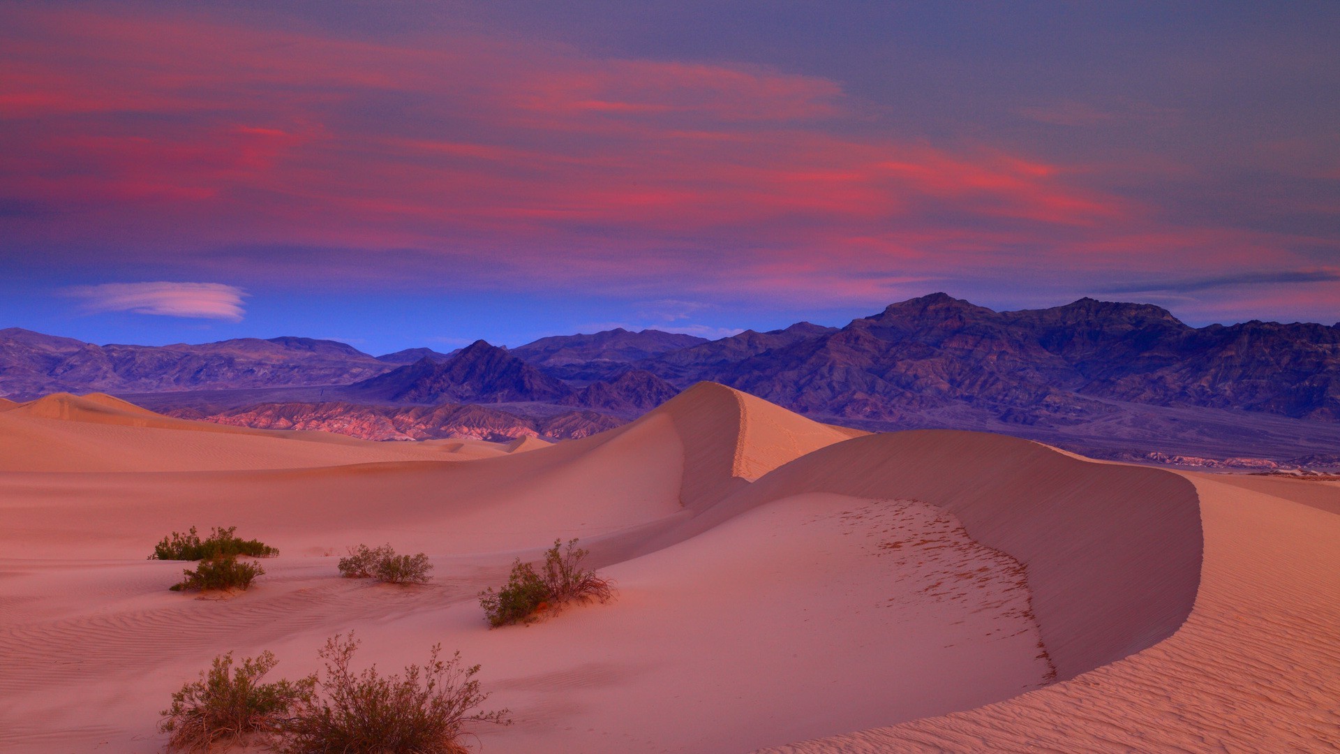nature, Landscape, Sand, Desert, Death Valley, California, USA, Clouds, Mountain, Sunset, Dune, Plants Wallpaper