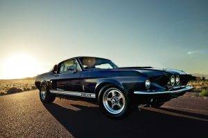 muscle Cars, Car, Shelby GT500