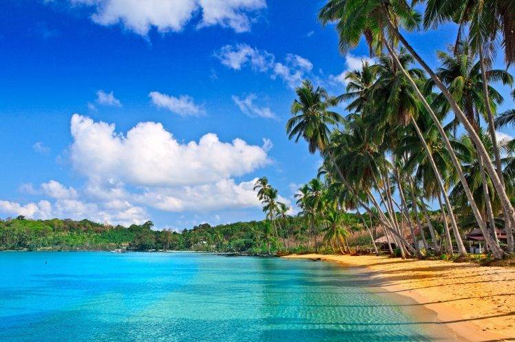 beach, Nature, Landscape, Palm Trees, Sea HD Wallpaper Desktop Background