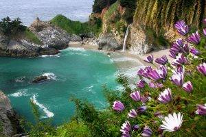 beach, Sea, Landscape, Nature, Waterfall, Flowers