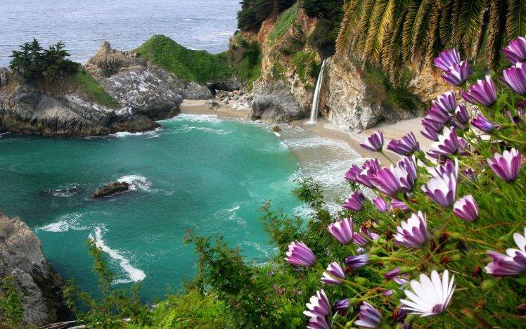 beach, Sea, Landscape, Nature, Waterfall, Flowers HD Wallpaper Desktop Background