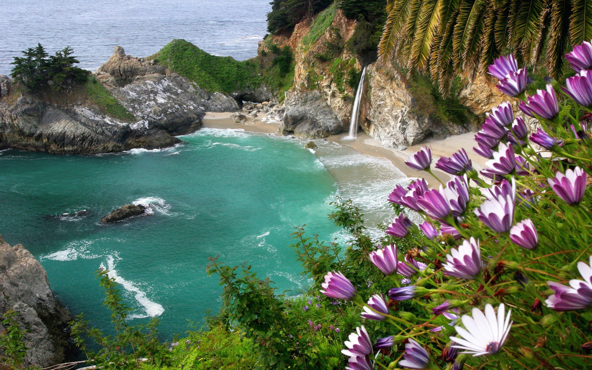 beach, Sea, Landscape, Nature, Waterfall, Flowers Wallpaper