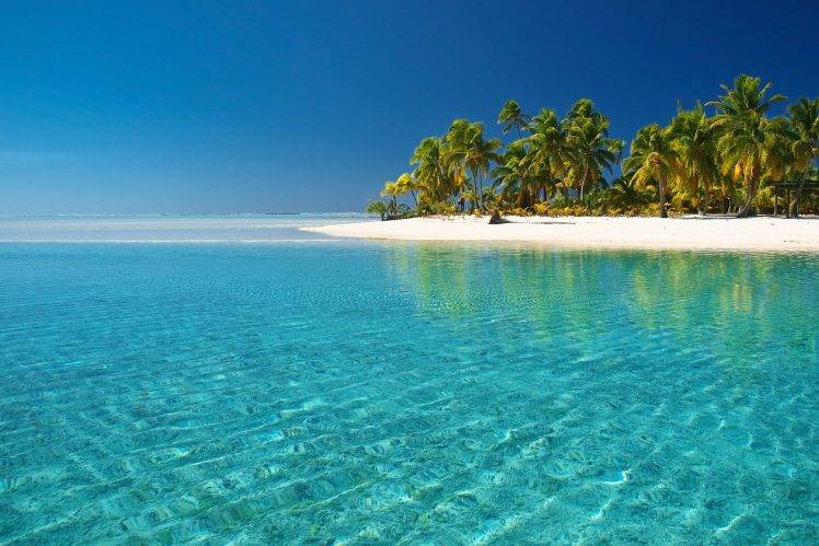 beach, Sea, Palm Trees, Landscape, Nature HD Wallpaper Desktop Background